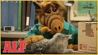 ALF Meets a Kitten! | ALF | S4 Ep9 Clip