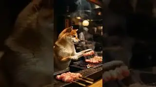 This Dog Working in a Restaurant Will Break Your Heart 💔🐶 #Shorts
