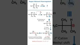 Wagner Meerwein Rearrangement & Cation Stability 🔥 | Trick + Mechanism | NEET JEE Class 12 Chemistry