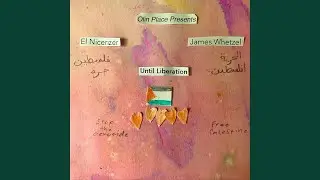 Free Palestine (Stop the Genocide Remix)