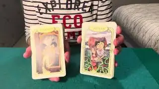 SIGNE CAPRICORNE DECEMBRE 2025