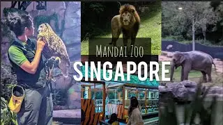 Mandai Night Safari | Singapore Night Safari | World&rsquo;s first Ever Night Safari