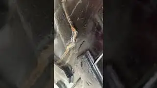 FLAT TIRE OUT ON THE TRAIL