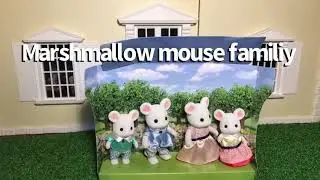 MARSHMALLOW MOUSE FAMILY REVIEW! Valentine's day 💘