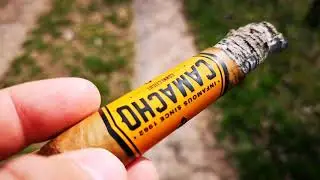 Camacho Robusto Zigarren Review