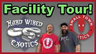 Hard Wired Exotics Facility Tour! | Ball Python Breeder