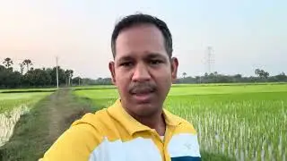 వరి 🌾 పొలంలో!? | #vlogginglife #saiprasannanakka #saivlogs #farming #nature #food #agriculture #fun 