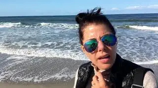 Texel 2018