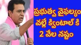 Ktr serious on Congress regarding Cotton minimum price for farmers