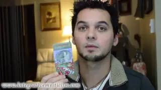 Leo Weekly Horoscope December 19-25 2016 Astrology & Tarot