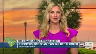 VIDEO: 1 dead, 1 injured in Colleton County crash