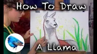 Learn how to draw A LlAMA: STEP BY STEP GUIDE! (Age 5 +)