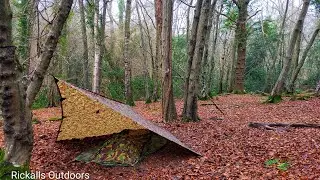 Christmas camp | Happy new year 2025