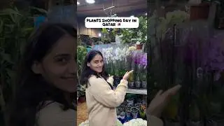 Plant shopping in qatar 🇶🇦 #plantshopping#cabincrew#dohacity #indian#viral