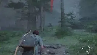 The last of us 2