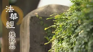 【靜思妙蓮華】法華經授記品 - 斷除無明 莊嚴其國 - 20210831 第965集