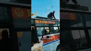 Jaipur Constable Shri Prem Singh Showed Empathy and Saved the Bird