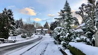 Seattle Washington Winter Blizzard 2020 | Winter In Seattle 4K