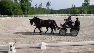 Training test C - Orleton w/ Chance & Lilly