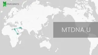 MTDNA U - DNAGENICS