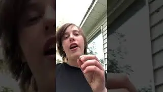 Trying fried grasshoppers