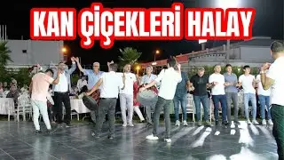 KAN &Ccedil;İ&Ccedil;EKLERİ HALAY - (Turkish halay music)