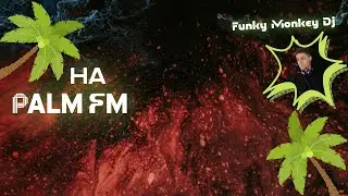 @PalmFm-Funky Monkey Dj (Surprise Mix)