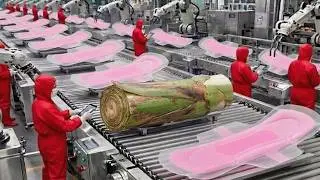 How Banana Plant Waste Is Turned Into Sanitary Pad | World Wide Waste