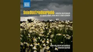 Guitar Quartet No. 2 in C Minor: I. Allegro