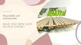 Have you seen such an eco straw?