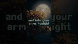 Witt lowry - Into Your Arms Ft.Ava max #intoyourarms #viral #shorts