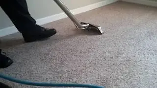 Pet Urine and Odor Removal in Sarasota