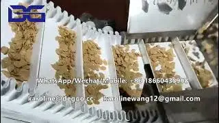 buckwheat wheat bran flakes multi-grain breakfast cereal flakes making machine dryer oven roaster DG