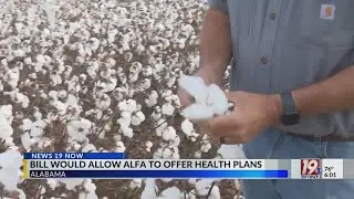 Bill Would Allow ALFA to Offer Health Plans | March 27, 2025 | News 19 at 6 p.m.