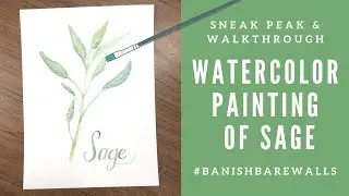 Watercolor of Sage - Botanical Print - Walkthrough Speed Paint Tutorial