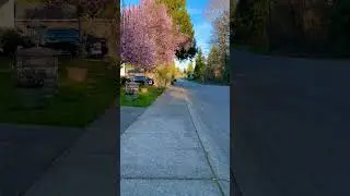 Washington Seattle usa #edm #bass #remix #dubstep #interiordesign #nature #seattle