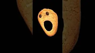 cookie song #funny