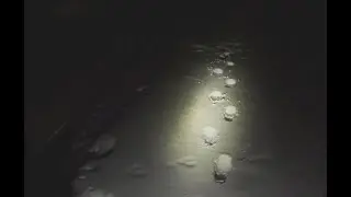 Dark Night of the Soul - Stray Sounds