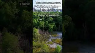குறள் 5  Kural 5 #shorts, #motivation #thirukkuralinenglishwithmeaning #tamilliterature #quotes