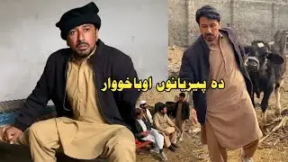 Da Peryano Oba Howar | Pashto Funny Video New Drama Kaliwal Vines 2025