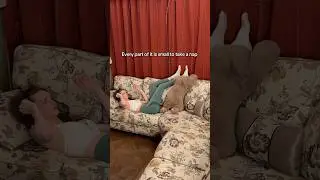 Giantess problems😵&zwj;💫#fyp #trending #shorts #tall #giant #girl #model #legs #socks #feet #sleep