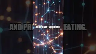 Crypto for Newcomers From Digital Cash to Everyday Use