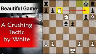 A Crushing Tactic by white | Kupferstich vs Andreasen 1953