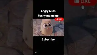 #angrybirds  #kidsvideo #kidsmovies #funny #angrybirds2  #fypシ #viral #shorts #shortvideo