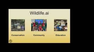 Ocean Data Factory Webinar - Wildlife.ai: Using AI to accelerate wildlife conservation