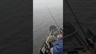 Winter kayak fishing en lago Lanier con tail spin #fishing #kayakbassfishing  #pesca