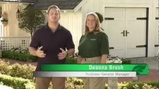 Spring Curb Appeal Tips | Lawn & Landscape Ideas to Improve Your Home