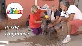In The Doghouse - Episode 1