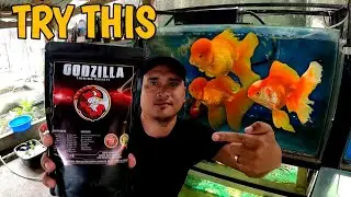 New trending GOLDFISH food made from japan | Godzilla sinking pellets