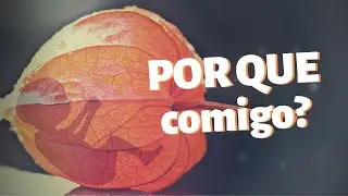 4borto Espontâneo